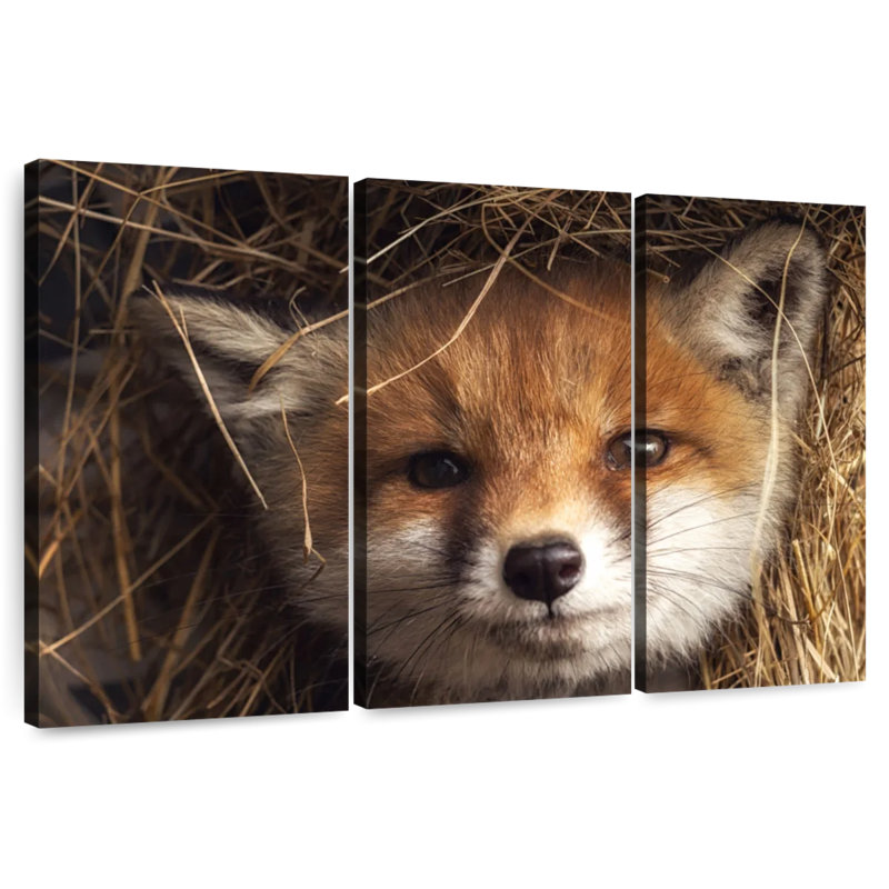 Peekaboo Fox, 36" H x 57" W