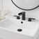 Widespread 2-handle Bathroom Faucet with Drain Assembly