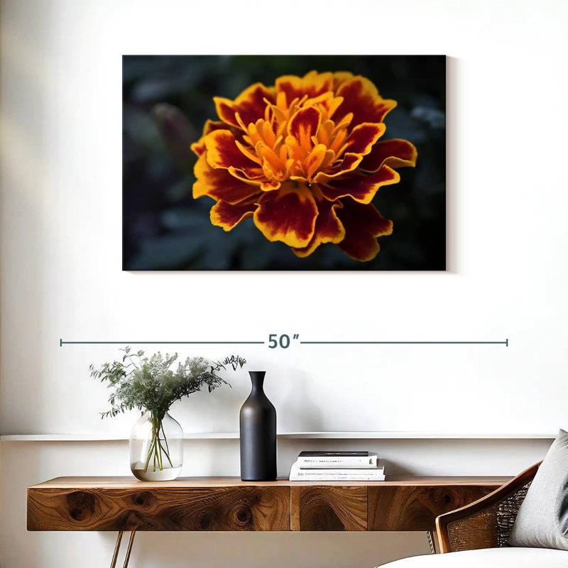 Harnek Red Marigold Flower, 24" H x 36" W