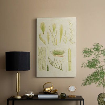 Herbe de mer rétro VI - galerie Cavas