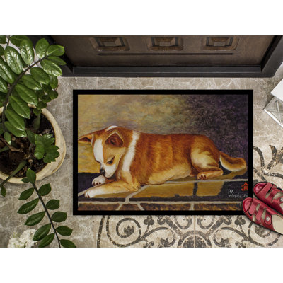 Non-Slip Outdoor Doormat