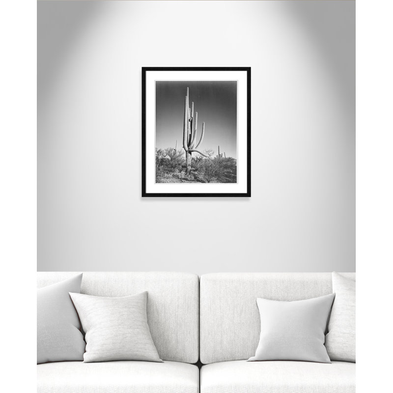 «Cactus In Saguaro National Monument In Arizona», reproduction de photo sur papier encadrée, Noir