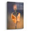 «Candle Plant» par Thomas Haney-101626900
