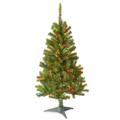 4 ft. Canadian Grande Fir Tree with Multicolor Lights