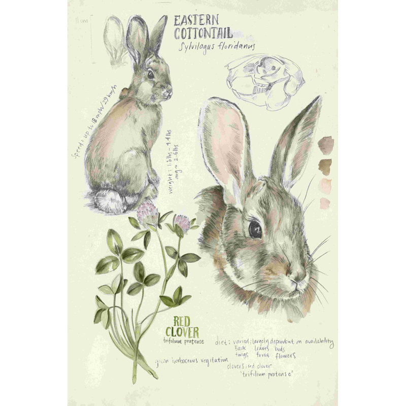 Wildlife Carnets II, H 30 po x l 20 po