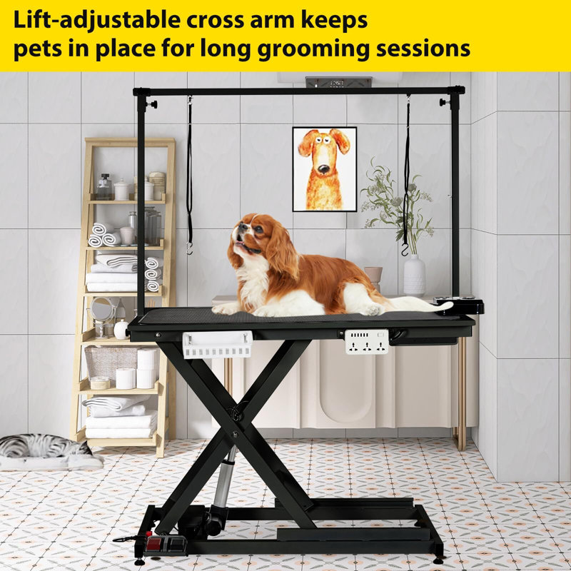 Black Heavy Duty Electric Pet Grooming Table with Adjustable Height