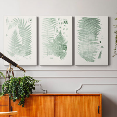 Verdure Ferns IV - ensemble de 3 peintures sur toile tendue