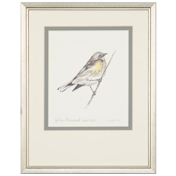 Yellow-Rumped Warbler Print by Daughdrill