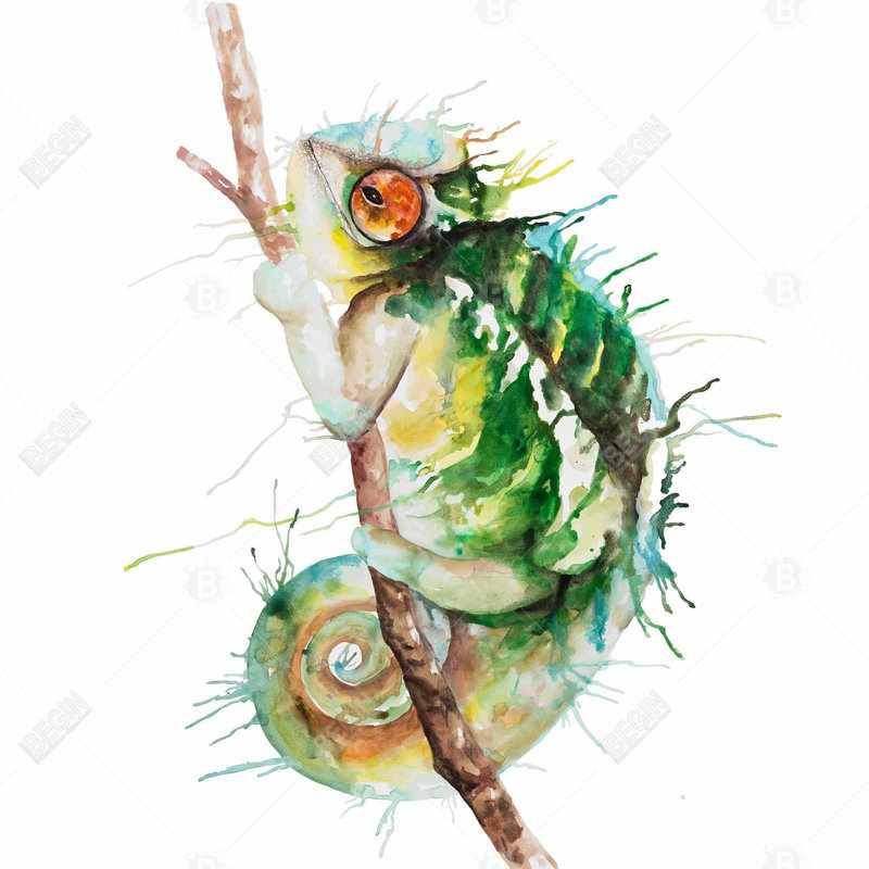 Aquarelle caméléon - décor de toile encadrée brun reptile