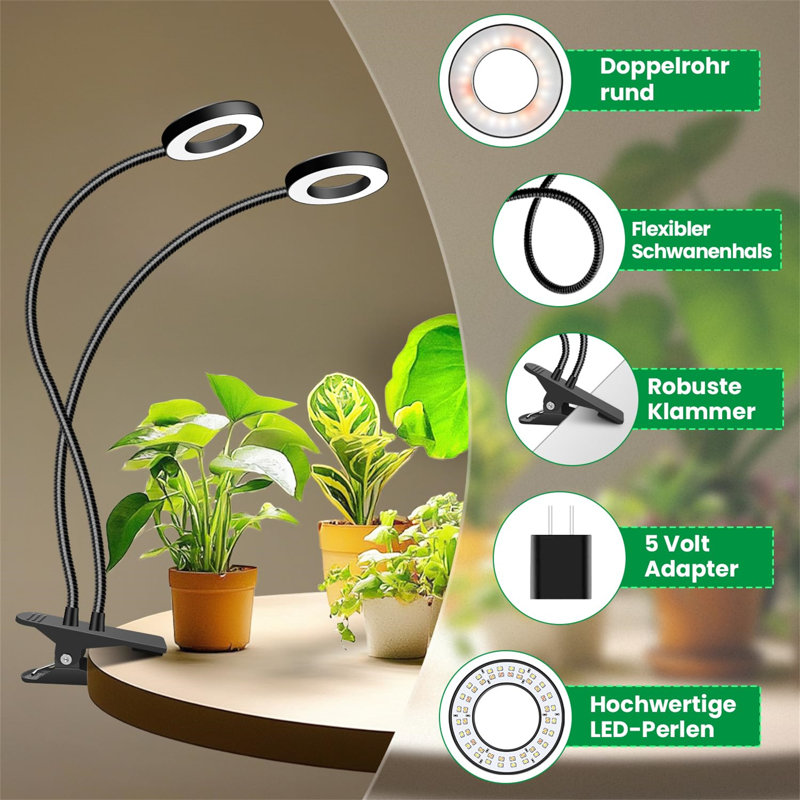 Naomi Grow Light