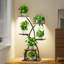 Plant Stand - Set of 8