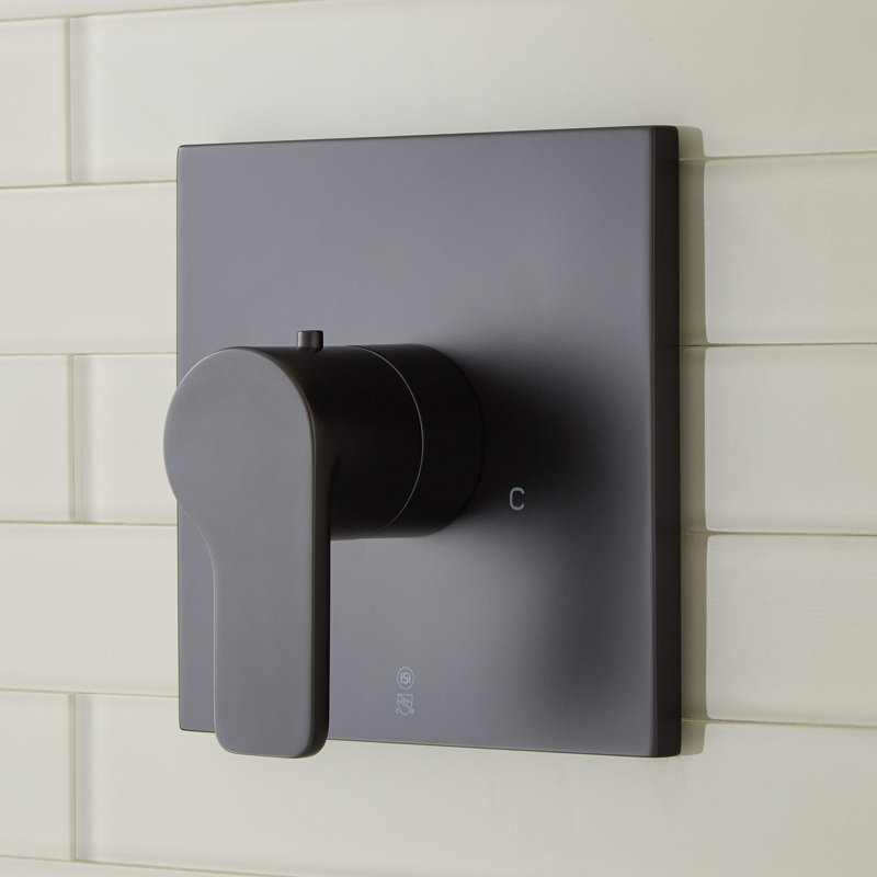 Robinet de douche thermostatique Hibiscus, Noir mat