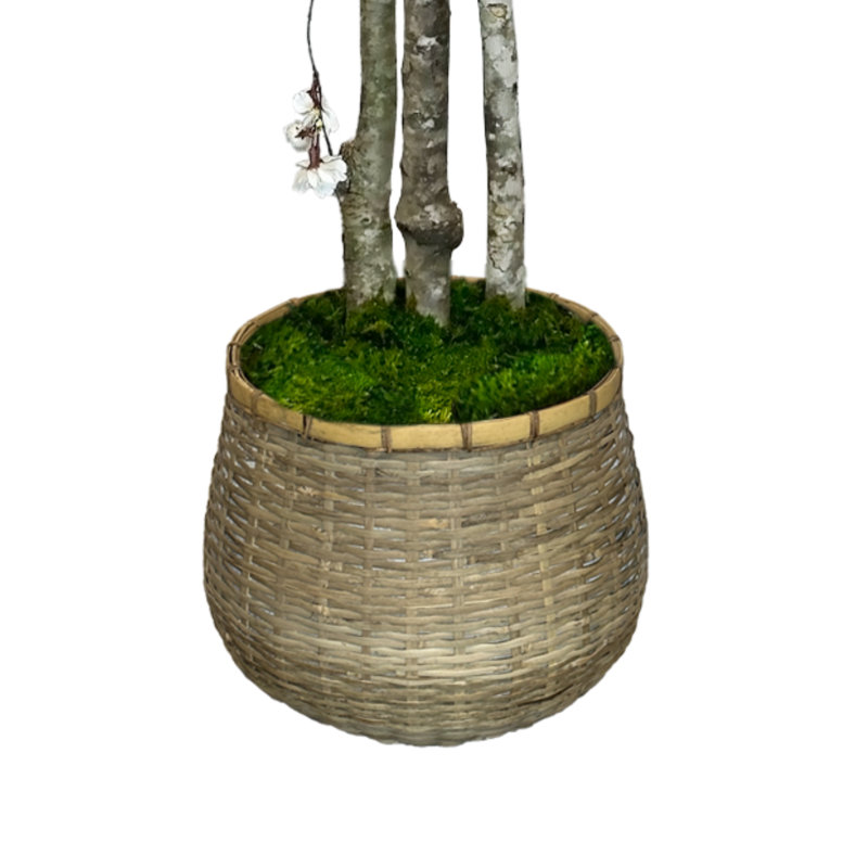 Faux cerisier en fleurs en pot de fleur beige, H 60 po x l 34 po x P 11,50 po