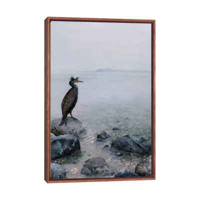" The Shallows " by Maggie Vandewalle