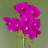 Plastic, Silk Artificial Arrangement in Pot-107235573