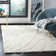 Ashal Abstract Cream Area Rug