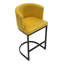 Adelaid Upholstered Counter Stool with Metal Frame-1199951143