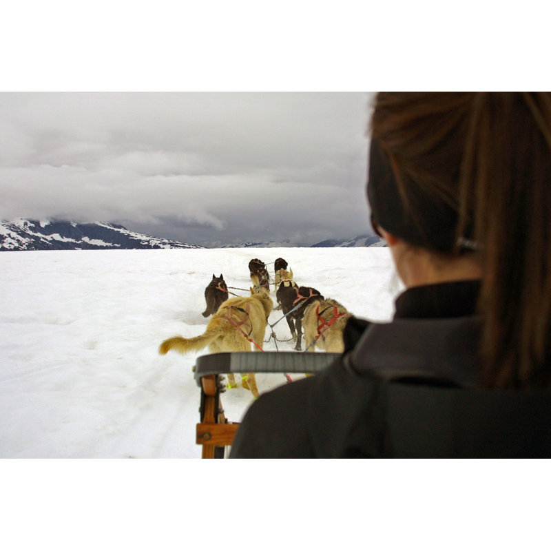 Dog Sledge by Chrisuk1 - Wrapped Canvas Print, 30cm H x 46cm W