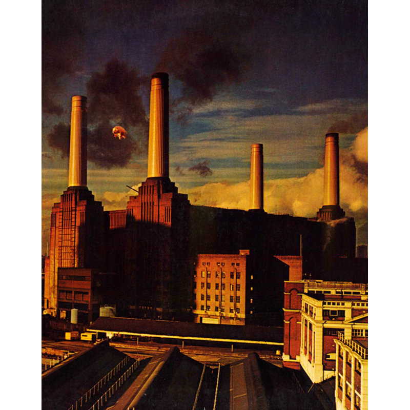 Pink Floyd - Animaux, H 24 po x l 19 po