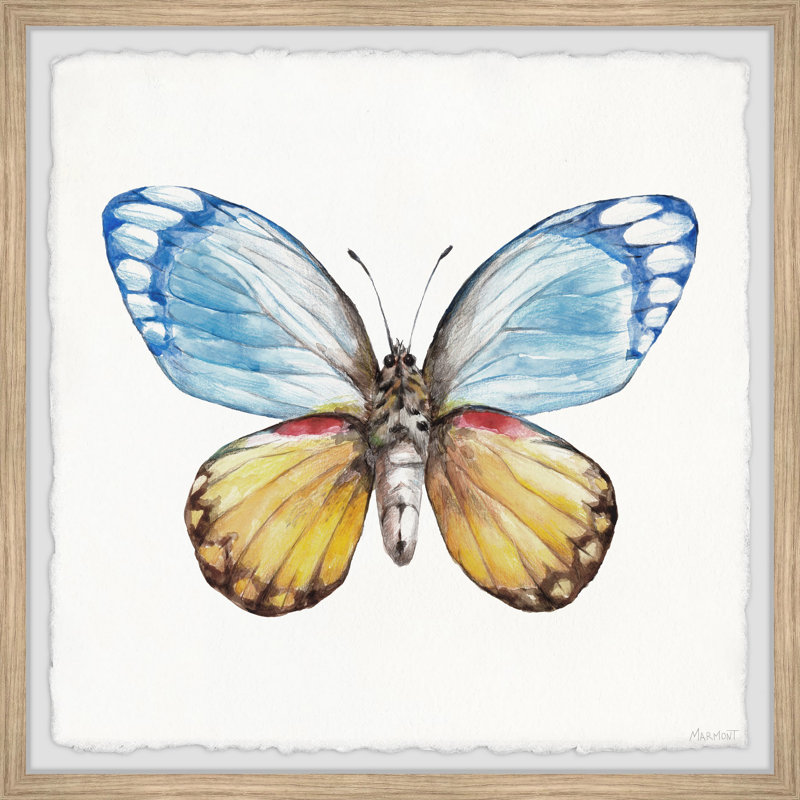 Butterfly Wings - Single Picture Frame Painting, 81cm H x 81cm W x 3.81cm D