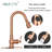 Akicon Pull Down Kitchen Faucet