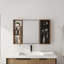 Armoire de salle de bain avec miroir 41,6 po avec combinaison de rangement, armoire murale avec porte à fermeture douce, armoire de rangement avec accessoires - bacs et crochets en plastique givré, contreplaqué