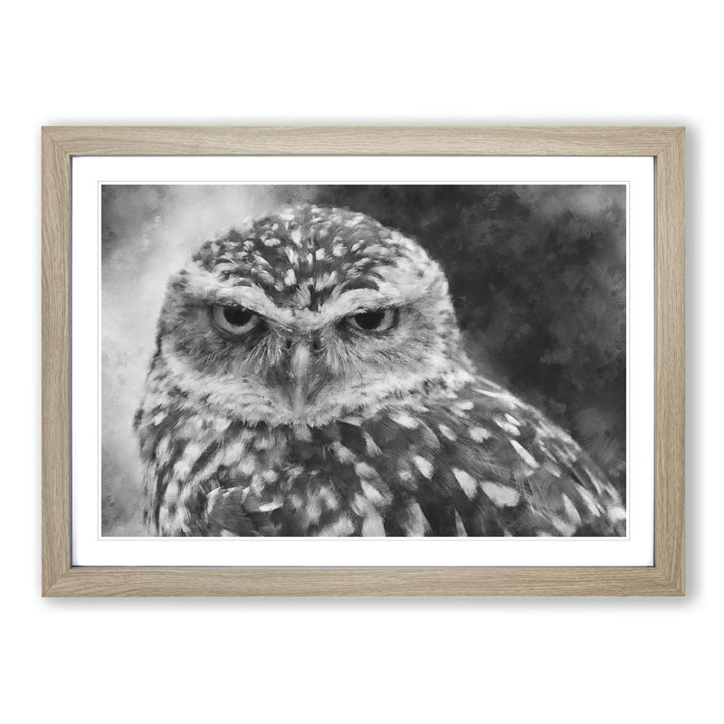 Little Owl - Picture Frame Graphic Art Print, 62cm H x 87cm W x 2cm D, Oak Framed