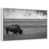 Floating Frame White