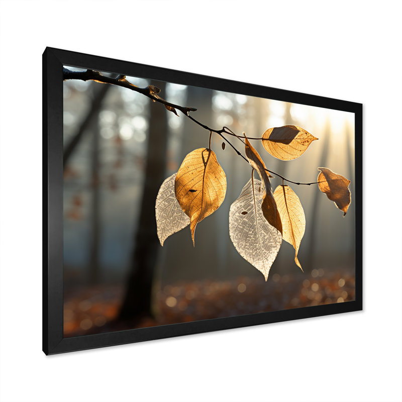 «Leaves Autumn Sunlight Harmony V», reproduction sur toile, Cadre simple noir, H 24 po x l 32 po x P 1 po
