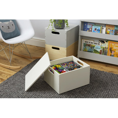 Rhona Toy Box