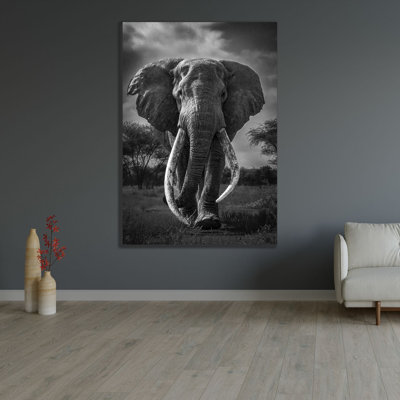 Qarooni, Hamza Gallery Wrapped Canvas Art Titled: Craig The Legendary Elephant