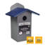 Solutions Bluebird House 12 po x 9 po x 7 po Solutions