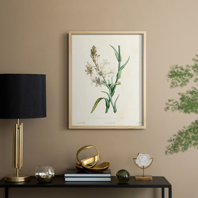 «Traditional Botanical IV», reproduction encadrée - bois massif