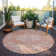 Machine Washable Indoor/Outdoor Chayden ACN1104 Coral Rug