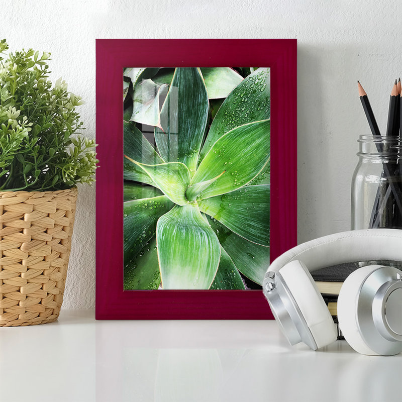 Green Tropical Succulent IV - reproduction d'un seul cadre photo, Rouge, H 7 po x l 5 po x P 1 po