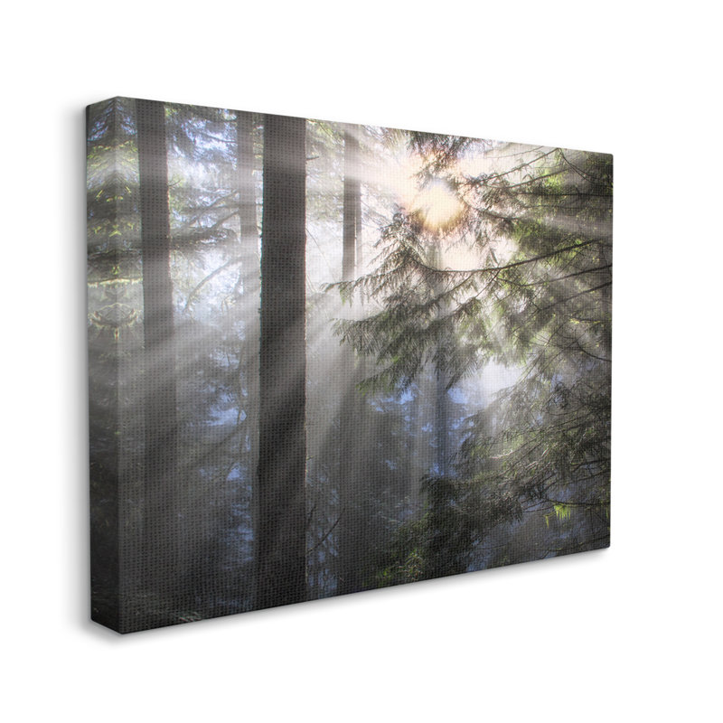 «Au-821-Canvas Forest Sun Rays Nature Scenery on Canvas» par Dennis Frates, photographie, H 24 po x l 30 po x P 1,5 po