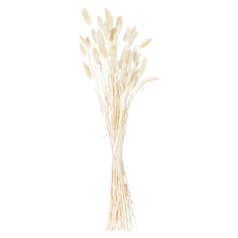 Anastasija Arrangement, White, White, 60 cm H x 10 cm W x 10 cm D