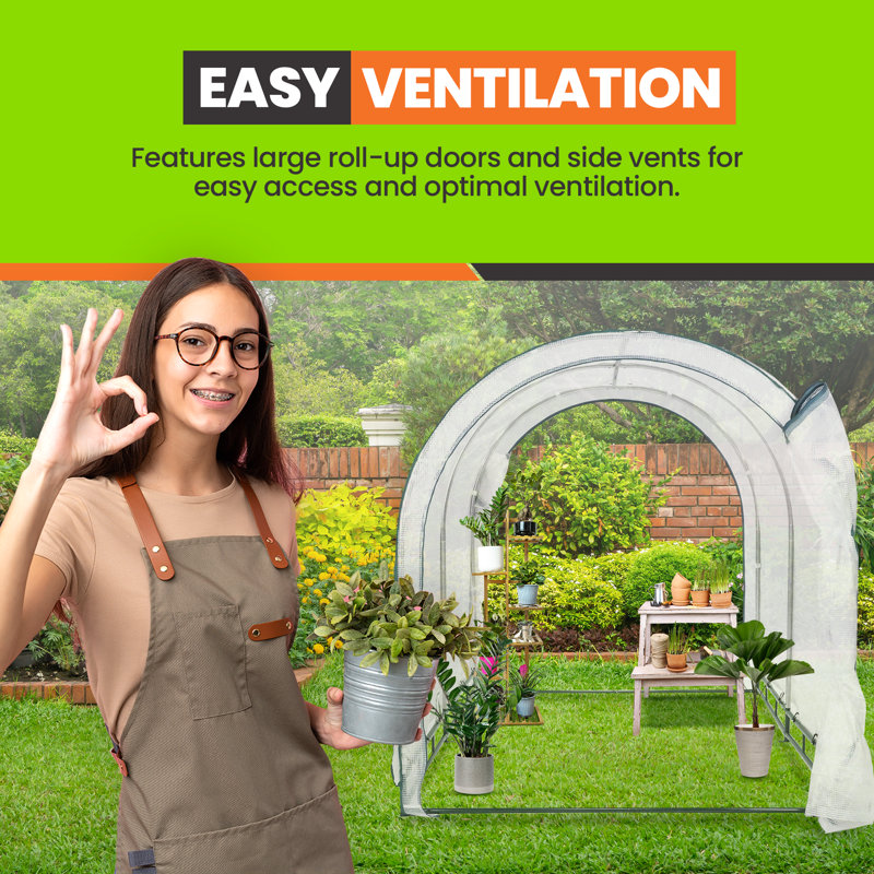 6' x 8' Clear Polyethylene Walk-In Greenhouse with Steel Frame