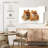 Crowle Posing Pomeranians-111886110