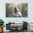 Brampt Nature Dog-107856560