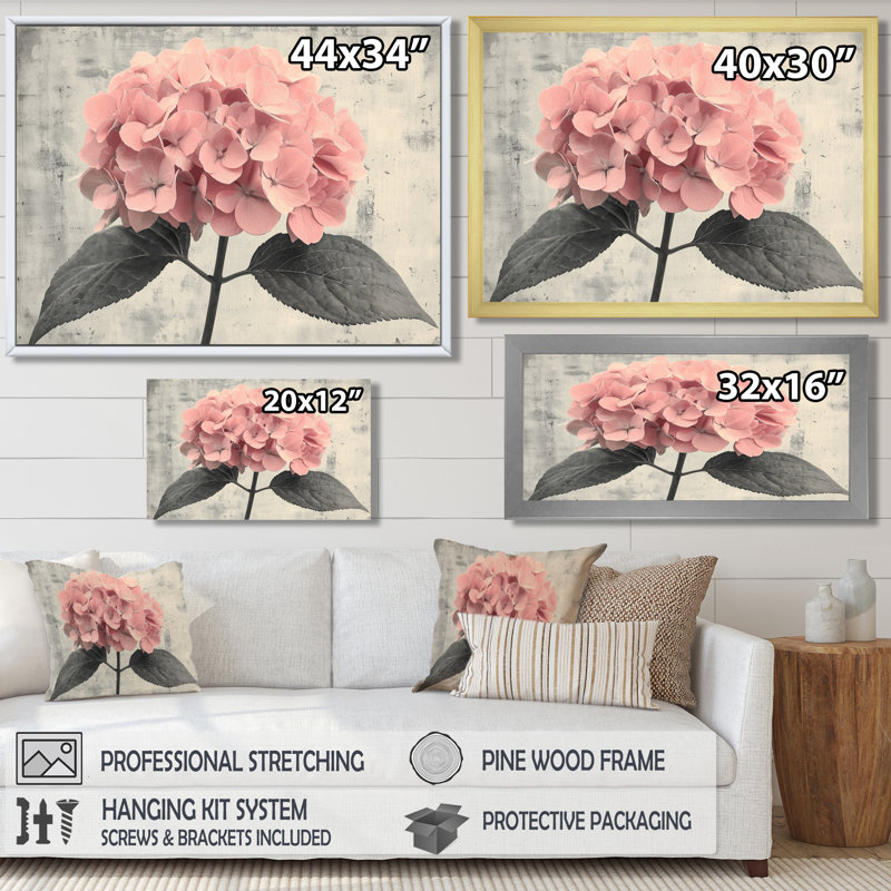 Cottrell, hortensia rose, jardin, bonheur I - Hortensia, art mural, Reproduction encadrée d'une seule photo