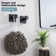 Robe Hook Wall Mounted