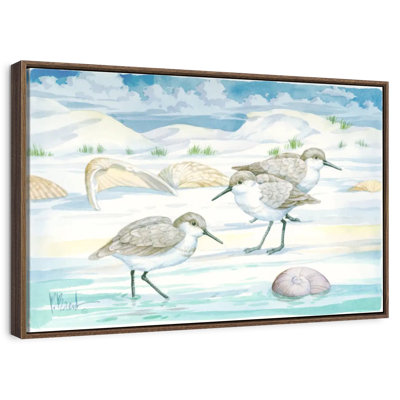 Shell Island Sandpipers