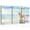 Seafront Golden Retriever