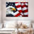 American National Bald Eagle-107490587