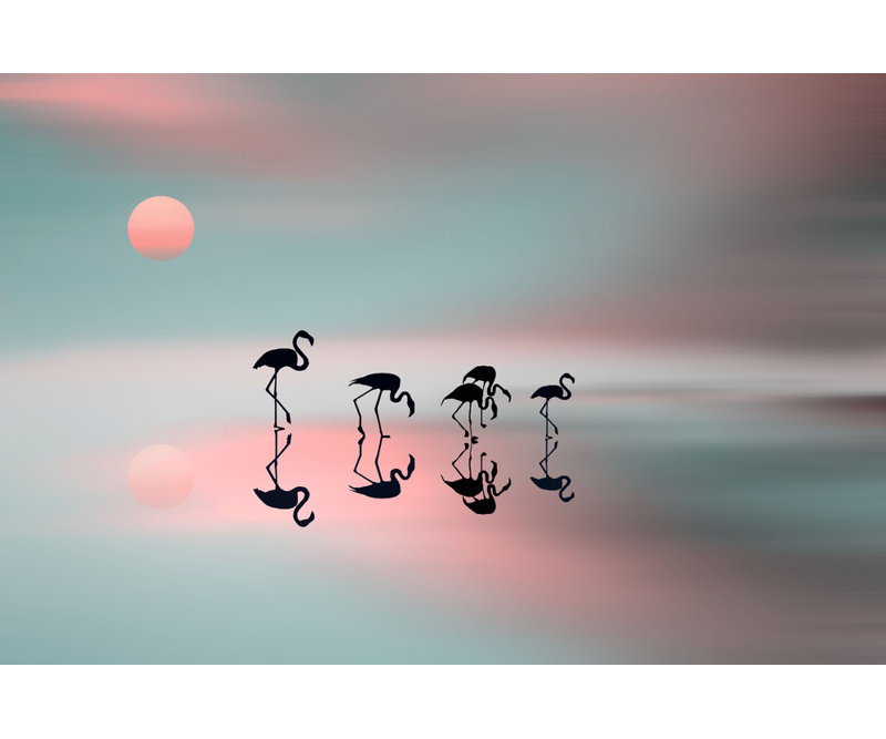 Wrapped Canvas Print, 50.8 cm H x 76.2 cm W