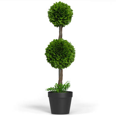 Boxwood Topiary Ball Assortment - 7, 11, 15 – 3rd Street Inn Greenery