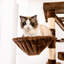 Grand arbre à chat 75 "Amariani-1785950817