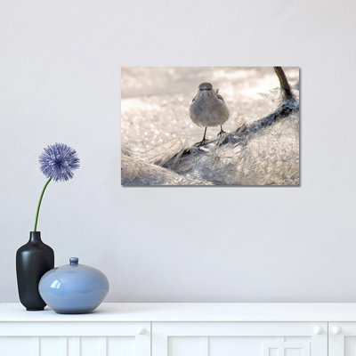 Jay on Ice 1 Piece Wrapped Canvas Wall Art