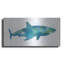 «Watercolor Shark III» par Linda Woods-1641996193